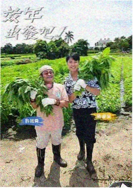 音乐综艺乐队的第一百天剧照